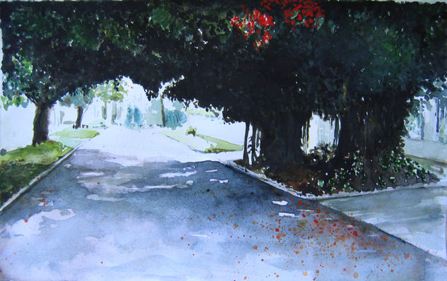 Miramar Watercolour Canvas Landscaping