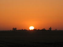 Atardecer en Sonora