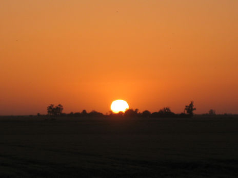 Atardecer en Sonora