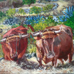 Tradición  y paisaje thumbnail 2