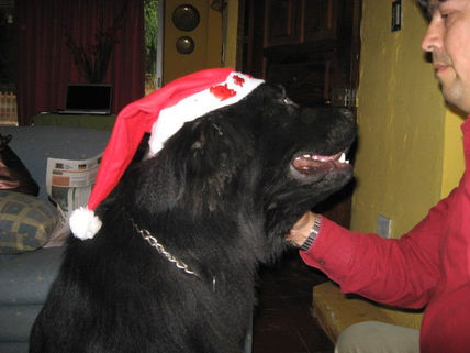 Saludos Navideños...