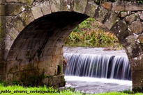 Ponte dos brozos