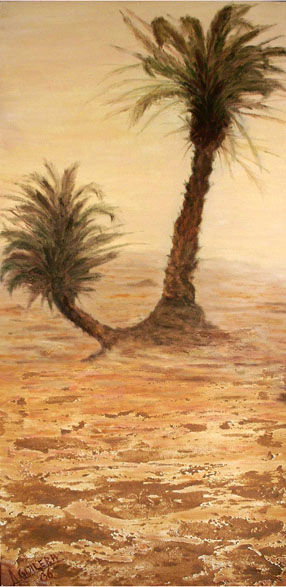 Tormenta en Erg Chevi, Marruecos