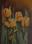 Tulipanes