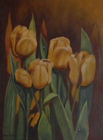 Tulipanes