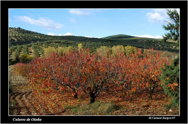 Colores de Otoño 