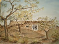 El "campo"