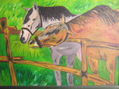los caballos de Albaya