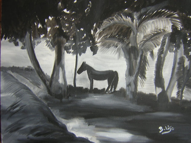 caballo en blanco y negro