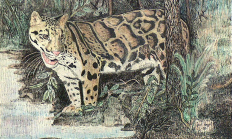 ANIMALES