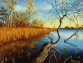 ALBUFERA II