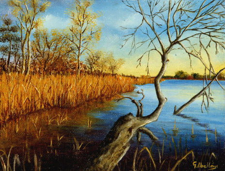 Albufera ii