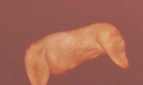 Trozos de carne