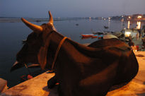 La sagrada- Varanasi