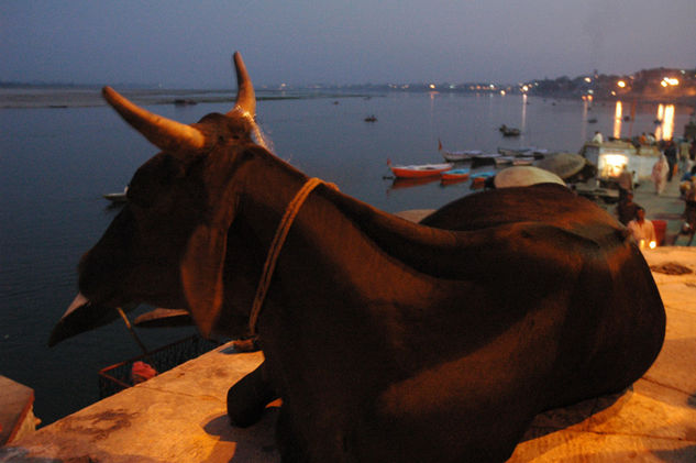 La sagrada- Varanasi 