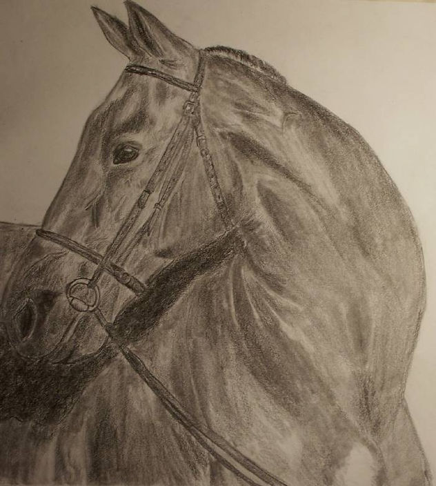 caballo