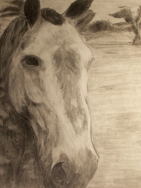 Caballo 2