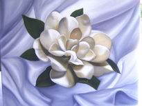 Gardenia