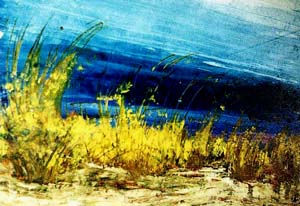 Mediterraneo