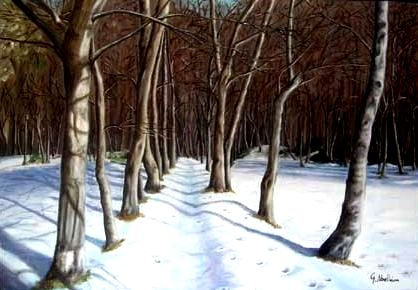 BOSQUE NEVADO