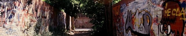 Imagen de portada