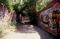 Graffiti_4