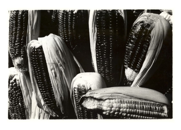 elotes Still lifes Black and White (Manual)