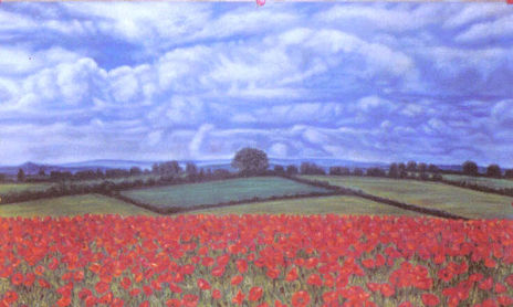 PAISAJES