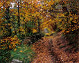 CAMINO DE OTOÑO EN ASTURIAS