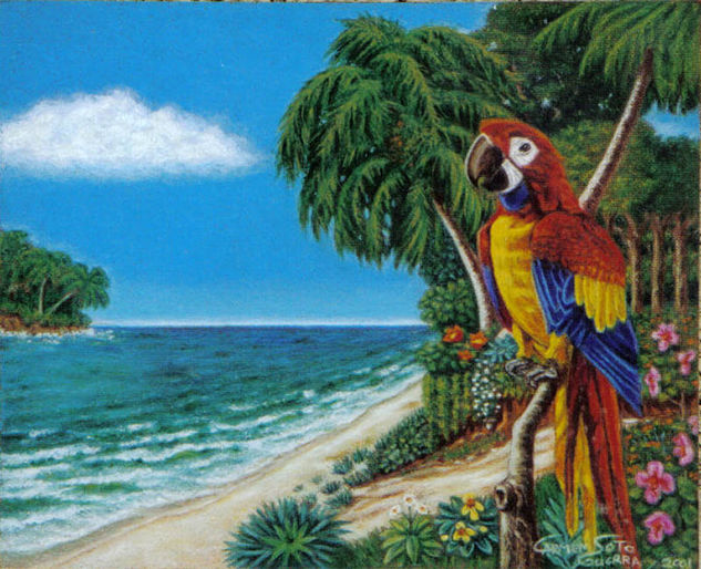 LORO EN EL CARIBE Oil Canvas Landscaping