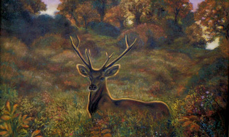 ANIMALES