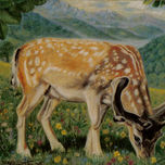 ANIMALES thumbnail 2