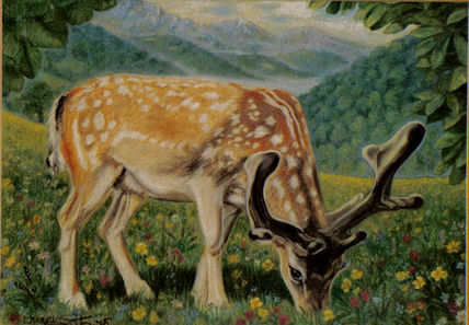 Gamo en primavera