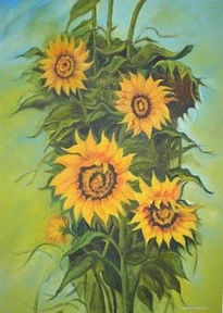 Girasoles