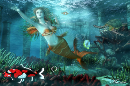 Memaid