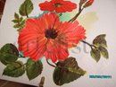 Nueva amapola