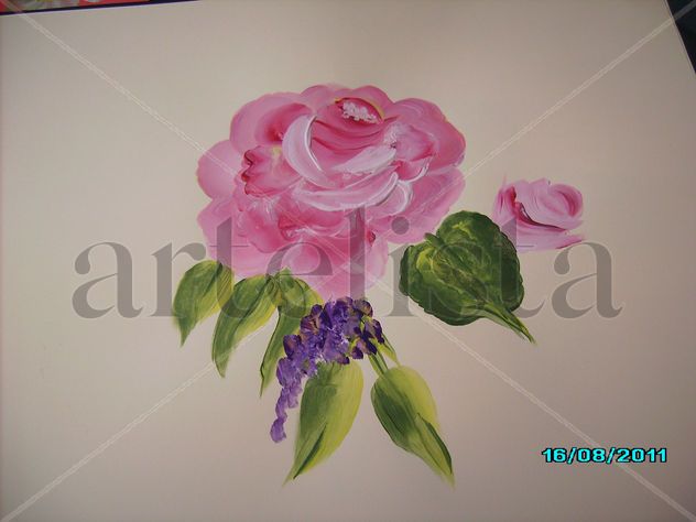 Rosa rosa