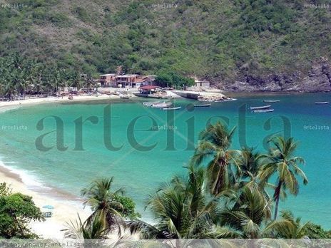 Bahia de Cata