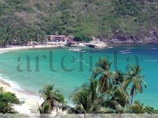 Bahia de Cata