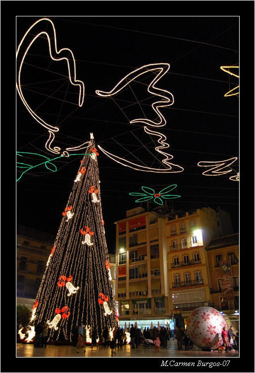 La Paloma y el Árbol