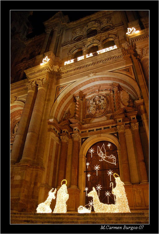 Nacimiento en la Catedral