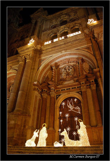 Nacimiento en la Catedral 