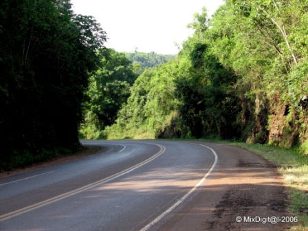 Camino 