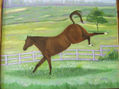 caballo negro