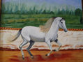caballo blanco