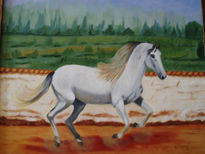 Caballo blanco