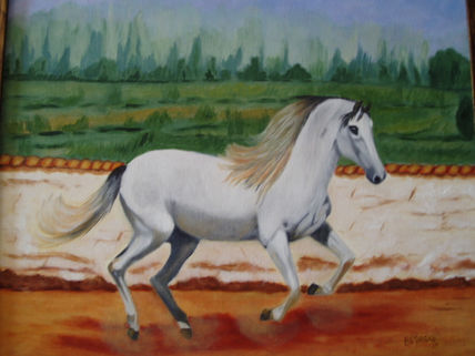 Caballo blanco