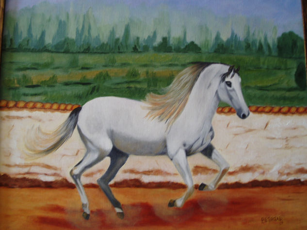 caballo blanco Oil Canvas Animals