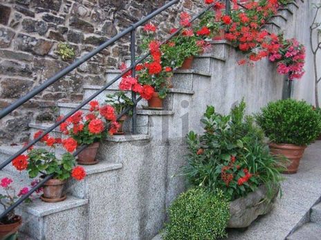 Escalera en...