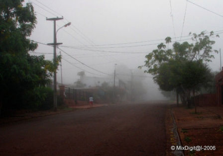 Bruma matinal 